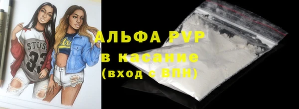 амф Верея