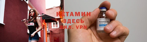 амф Верея